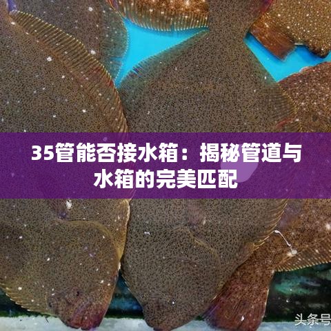 35管能否接水箱：揭秘管道与水箱的完美匹配