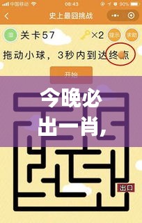 今晚必出一肖,灵活解析方案_挑战款5.752