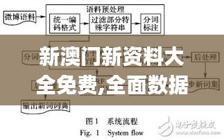 新澳门新资料大全免费,全面数据策略实施_C版15.797