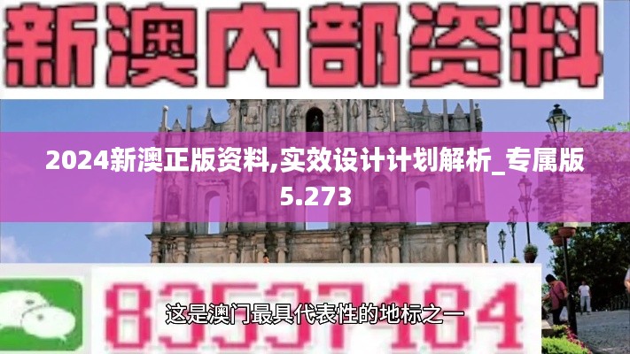 2024新澳正版资料,实效设计计划解析_专属版5.273