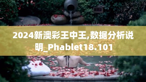 2024新澳彩王中王,数据分析说明_Phablet18.101