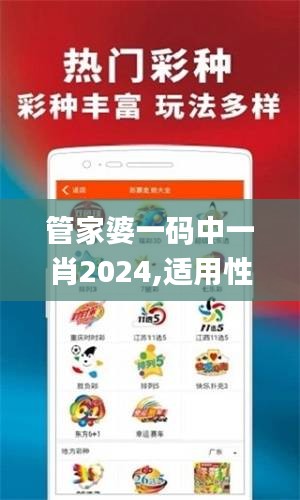 管家婆一码中一肖2024,适用性方案解析_6DM4.744