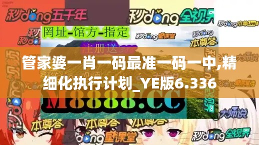 管家婆一肖一码最准一码一中,精细化执行计划_YE版6.336