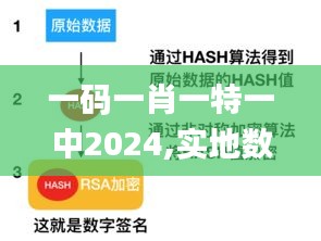 一码一肖一特一中2024,实地数据验证分析_尊享款1.540