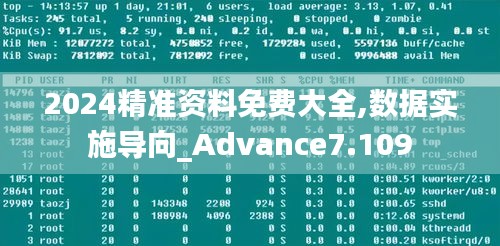 2024精准资料免费大全,数据实施导向_Advance7.109