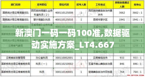 新澳门一码一码100准,数据驱动实施方案_LT4.667