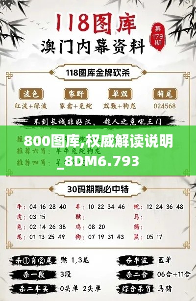 800图库,权威解读说明_8DM6.793