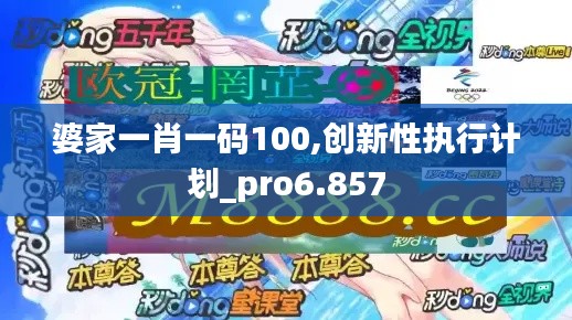 婆家一肖一码100,创新性执行计划_pro6.857