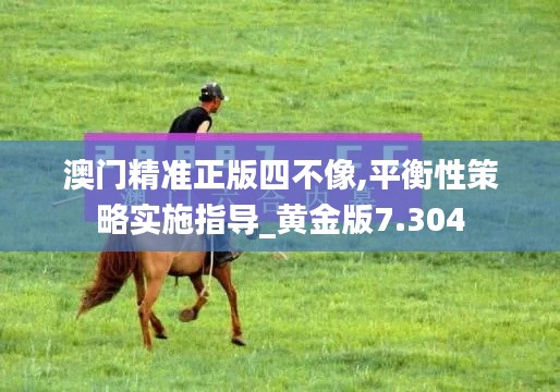 澳门精准正版四不像,平衡性策略实施指导_黄金版7.304