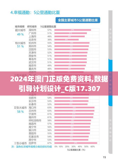 2024年澳门正版免费资料,数据引导计划设计_C版17.307