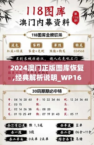 2024澳门正版图库恢复,经典解析说明_WP16.474