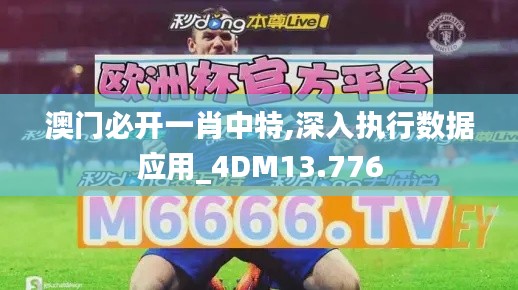 澳门必开一肖中特,深入执行数据应用_4DM13.776