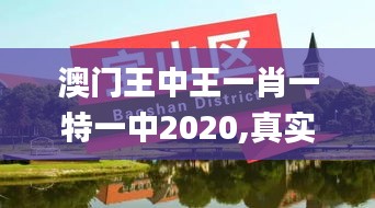 澳门王中王一肖一特一中2020,真实解析数据_8K2.950