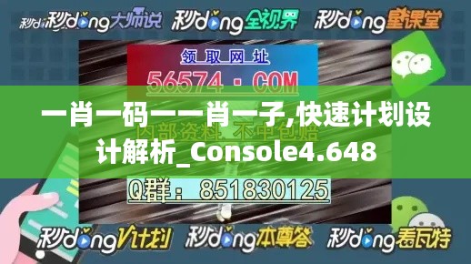 一肖一码一一肖一子,快速计划设计解析_Console4.648