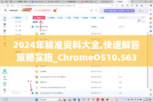 2024年精准资料大全,快速解答策略实施_ChromeOS10.563