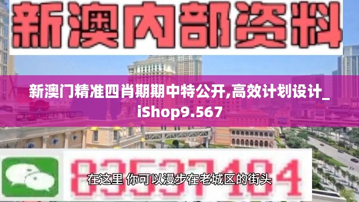 新澳门精准四肖期期中特公开,高效计划设计_iShop9.567