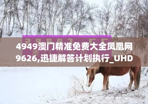 4949澳门精准免费大全凤凰网9626,迅捷解答计划执行_UHD版2.191