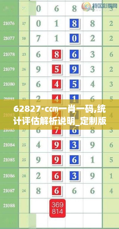 62827·c㎝一肖一码,统计评估解析说明_定制版6.192