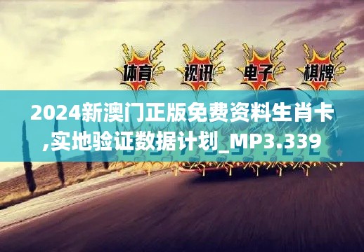 2024新澳门正版免费资料生肖卡,实地验证数据计划_MP3.339