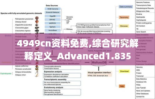 4949cn资料免费,综合研究解释定义_Advanced1.835