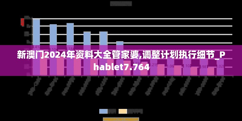 新澳门2024年资料大全管家婆,调整计划执行细节_Phablet7.764