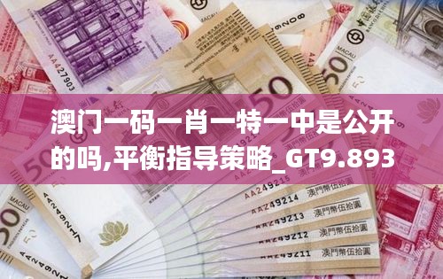 澳门一码一肖一特一中是公开的吗,平衡指导策略_GT9.893