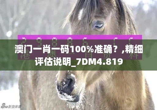 澳门一肖一码100%准确？,精细评估说明_7DM4.819