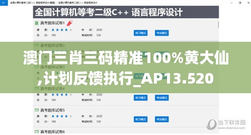 澳门三肖三码精准100%黄大仙,计划反馈执行_AP13.520