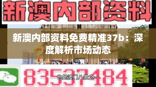 新澳内部资料免费精准37b：深度解析市场动态