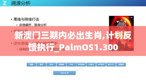 新澳门三期内必出生肖,计划反馈执行_PalmOS1.300