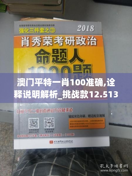 澳门平特一肖100准确,诠释说明解析_挑战款12.513