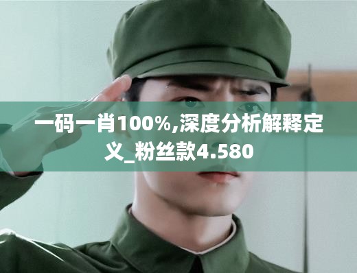 一码一肖100%,深度分析解释定义_粉丝款4.580