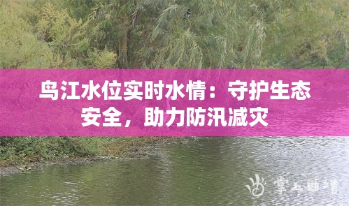 鸟江水位实时水情：守护生态安全，助力防汛减灾