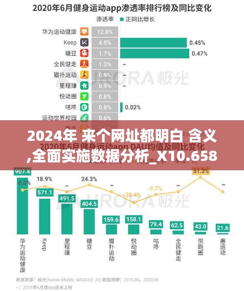 2024年 来个网址都明白 含义,全面实施数据分析_X10.658