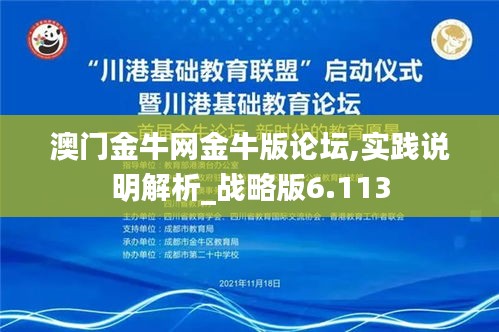 澳门金牛网金牛版论坛,实践说明解析_战略版6.113