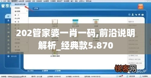 202管家婆一肖一码,前沿说明解析_经典款5.870