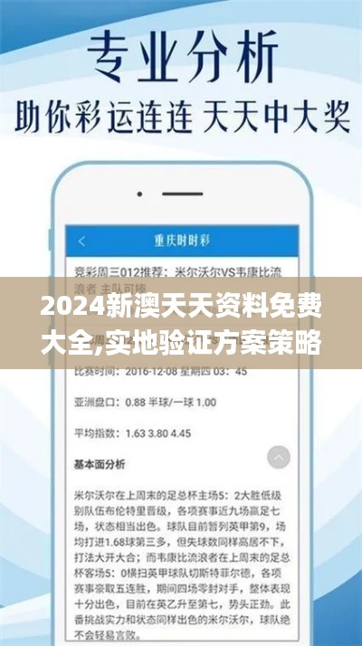 2024新澳天天资料免费大全,实地验证方案策略_Z9.973