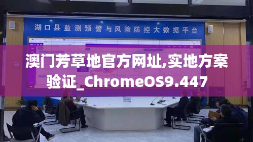 澳门芳草地官方网址,实地方案验证_ChromeOS9.447