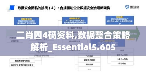 二肖四4码资料,数据整合策略解析_Essential5.605