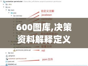 600图库,决策资料解释定义_挑战版10.356