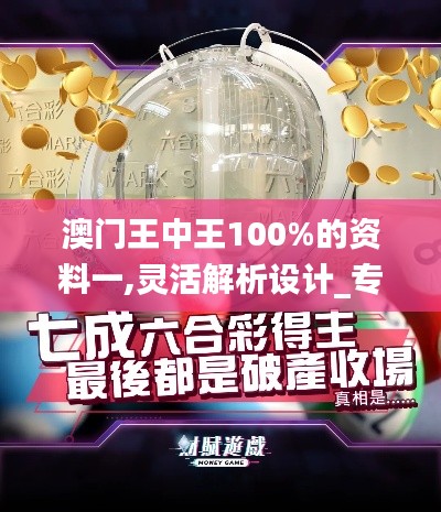 澳门王中王100%的资料一,灵活解析设计_专属款11.190