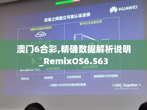 澳门6合彩,精确数据解析说明_RemixOS6.563