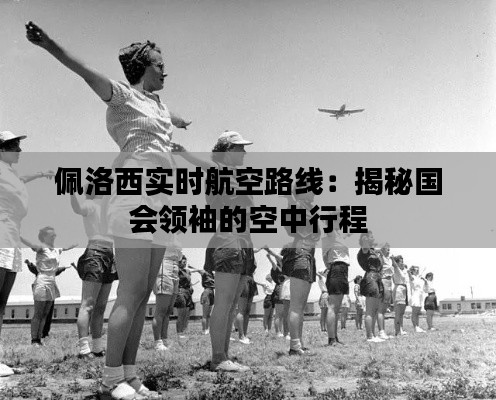 佩洛西实时航空路线：揭秘国会领袖的空中行程