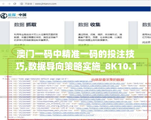 澳门一码中精准一码的投注技巧,数据导向策略实施_8K10.139