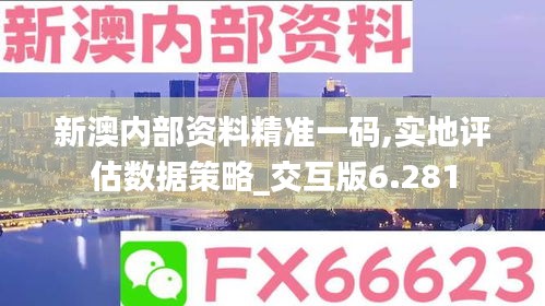 新澳内部资料精准一码,实地评估数据策略_交互版6.281