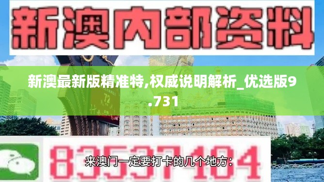 新澳最新版精准特,权威说明解析_优选版9.731