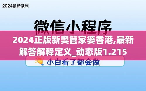 2024正版新奥管家婆香港,最新解答解释定义_动态版1.215