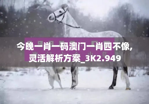 今晚一肖一码澳门一肖四不像,灵活解析方案_3K2.949