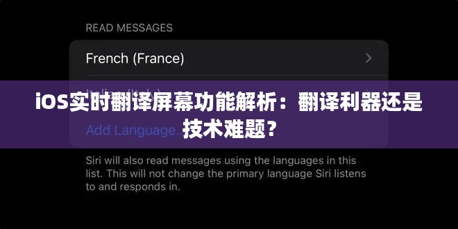 iOS实时翻译屏幕功能解析：翻译利器还是技术难题？