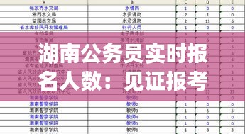 湖南公务员实时报名人数：见证报考热潮的数字轨迹